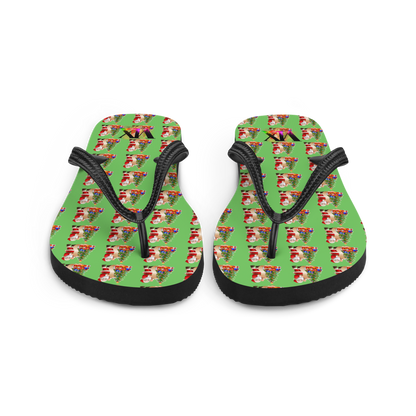 Chinelos verdes de Papai Noel de Natal